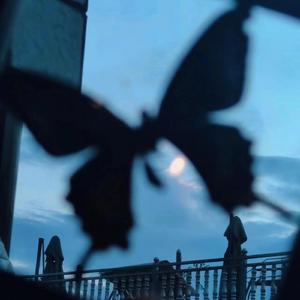 百姓大众澡堂子AV在线
